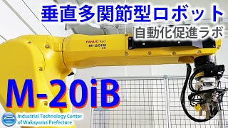 ロボット紹介 垂直多関節 M 20iB