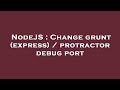 NodeJS : Change grunt (express) / protractor debug port