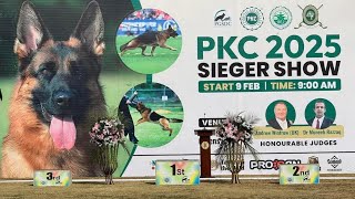 PKC SIGER Show Of the year 2025 Judging by Honourable Judge Andrew winfrow from the United kingdom