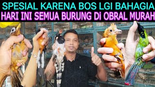 KABAR GEMBIRA BERHUBUNG BOS LGI BAHAGIA HARI INI SEMUA BURUNG DI OBRAL MURAH DI PASAR BURUNG PRAMUKA