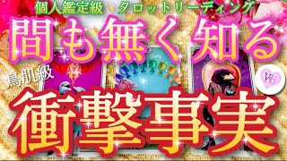 [♥️個人鑑定級]🌈間も無くあなたが知る事実🥰🙌高次元メッセージ💖ビーナスハート♥️タロットリーディング✨オラクルカード ☺️