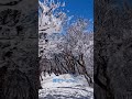 shorts 霧氷 登山 高見山 高見ブルー 奈良県 東吉野村 たかすみ温泉