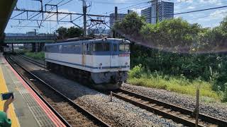 9月20日新川崎駅 #新鶴見A51運用 #8584レ EF65-2057 #単機回送  #EF65貨物色 6EF65赤プレート #EF652057