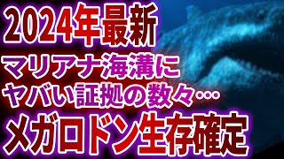 【ゆっくり解説】メガロドンはマリアナ海溝で生きている!?決定的証拠5選