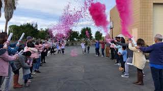 Gender Reveal with Confetti and Powder Cannons | Superior Celebrations