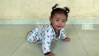 Pobo Can Crawl Forward Now ( 6 Months 11 Days)