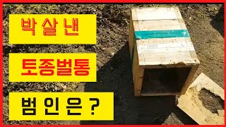 토종벌통이 박살이 나있습니다 (벌통 지키는 방법)