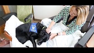 Therapy dogs lift patients' spirits | Duke Health