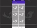 how to record u0026 maintain birds pedigree by using app. lovebirds fisheries agapornis opaline