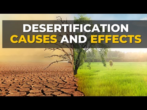 What causes the process of desertification quizlet?