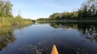 [Slow TV] [1440p] Kayaking Stevens Creek Midsummer