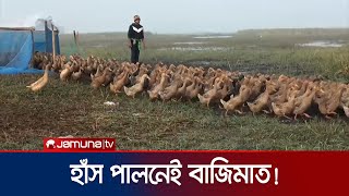 টুঙ্গিপাড়ায় হাঁস পালনে স্বাবলম্বী শতাধিক পরিবার | Gopalgonj Duck Farm | Jamuna TV