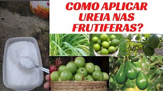 COMO APLICAR UREIA NAS FRUTIFERAS - Passo a Passo.