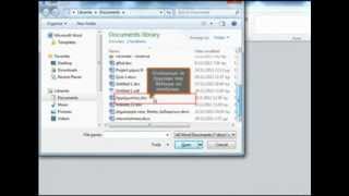 FileOpen.wmv