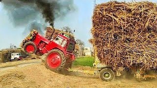 Great and Powerful Belarus Tractors to get sugarcane-filled trailer out of the field