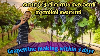 മുന്തിരി വൈൻ വെറും3 ദിവസം കൊണ്ട് | Grapes wine making within3days | DdfamilyblogsEgr