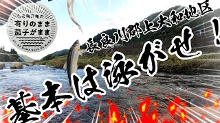 【鮎釣り】2023/8/20 力んだらダメ！