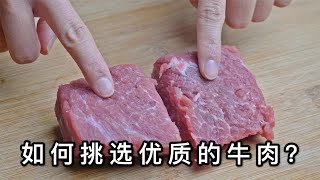 你家还在吃牛肉吗？干货老板无意说漏嘴，买错等于扔钱，涨知识了【百味厨娘】