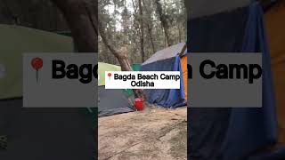 Bagda Beach Camp #odisha #baleswar #youtubeshorts