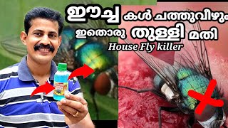 ഈച്ചകളെ തുരത്താൻ ഇവനൊരു തുള്ളി മതി/ how to get rid of house Flies/ Btech MIXMEDIA