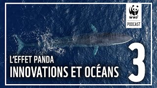Épisode 3 : Les innovations au service de la protection des océans | L'Effet Panda : un podcast WWF
