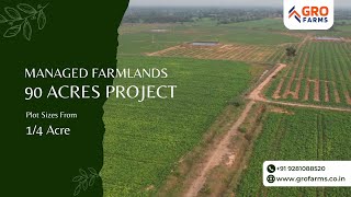 Excellent Investment Option | Managed Farmlands Project | Sandalwood \u0026 Dragon Fruit Farms