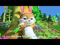 The Tortoise and the Hare  CoComelon Nursery Rhymes & Kids Songs