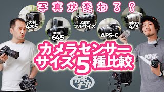 【センサーサイズ】フルサイズ？APS？カメラ5種で写真はどう変わるのか