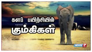 சாதாரணமாக ஒரு யானை எவ்வாறு கும்கி யானையாக மாறுகிறது? சிறப்புத் தொகுப்பு