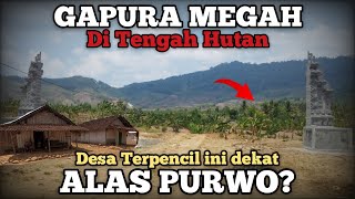 Jauh Terpencil di Antara Bukit, Seperti inilah kondisi Perjalanan Menuju Kampung Petak 8 Banyuwangi