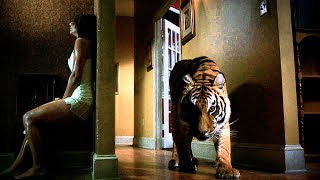 The last  of  woman who came across a fierce tiger in the house.breathless hide-and-seek[MovieRecap]