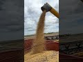 agricultura new holland colheita do soja insta automobile