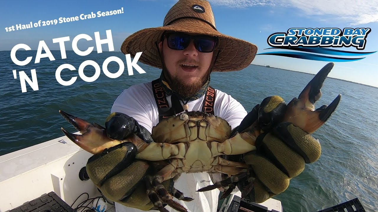 Stone Crab Catch N Cook Youtube