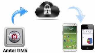 Mobile App Management in Enterprise - Amtel