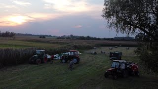 Sianokiszonka z szuwaru - Zetor \u0026 Belarus