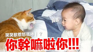 【小貓奴養成記EP14】蕾夢要被貓咪揍啦！哭哭獸惹怒蛋捲！？