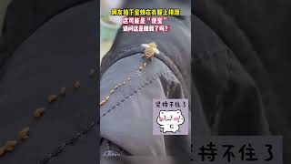 #搞笑 #动物 网友拍下蜜蜂在衣服上“便蜜”，请问这是赚到了吗？