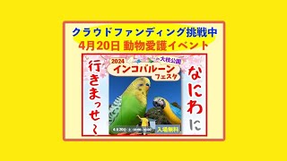 クラファン挑戦中‪❤️‍🔥拡散・ご支援のご協力宜しくお願い致します🙏