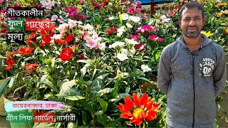 Winter Flower Plants Price In Green Leaf Garden | শীতকালীন ফুল গাছের মূল্য | Gardening Bangladesh