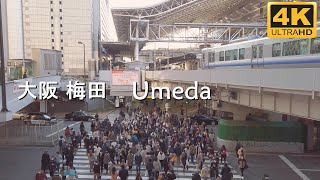 【4K】大阪梅田駅 茶屋町 | 大阪駅周辺 | Walk around Osaka Sta., OsakaUmeda sta.