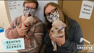 Behind the Scenes - Sioux Falls Area Humane Society