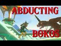 Abducting Bokoblins | The Legend of Zelda: Tears of the Kingdom