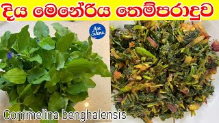 දිය මෙනේරිය තෙම්පරාදුව | Tempered Diya Meneriya Leaves | Commelina benghalensis | Healthy Leaves