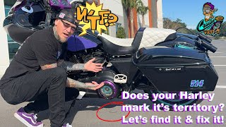 How To Let S Identify Fix That Leaking Harley Primary Including Tools Needed