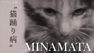 【MINAMATA】“猫踊り病”～最初の異変は漁村の猫だった～