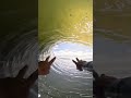 gopro pov surfing the world s longest barreling wave 🎬 pedro boonman shorts