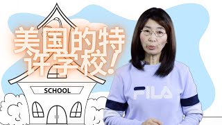 【清聊美国】美国的特许学校