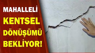 Belediye Ekipleri Kaderine Terk Etti! / A Haber | A Haber