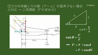 第57回理学療法士・作業療法士国家試験の解説　午前　問題12