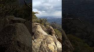 荒地山。コース間違えて死ぬとこやった。反省。